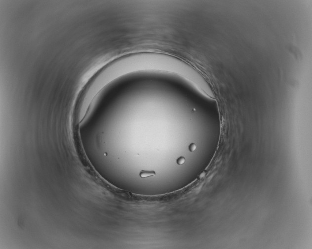X0000113920292200910151445