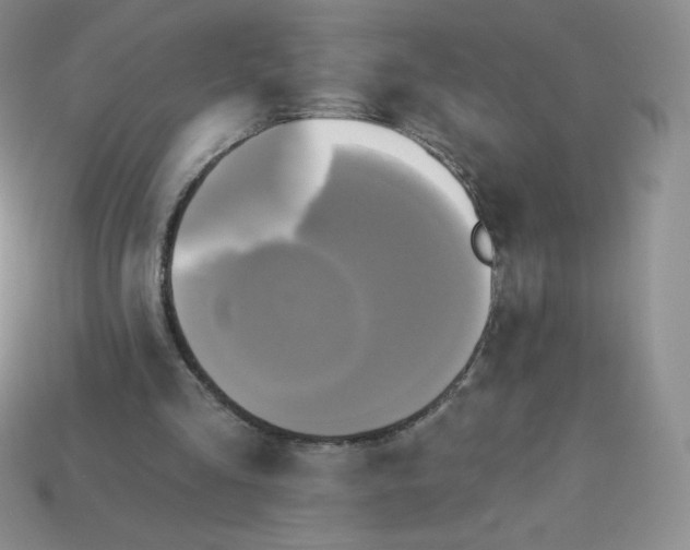 X0000113920293200910151445