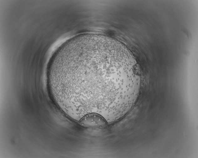 X0000113920294200910151445