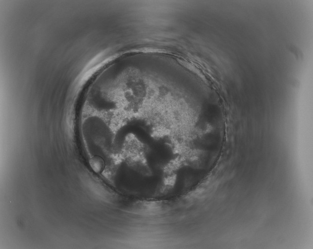X0000113920295200910151445