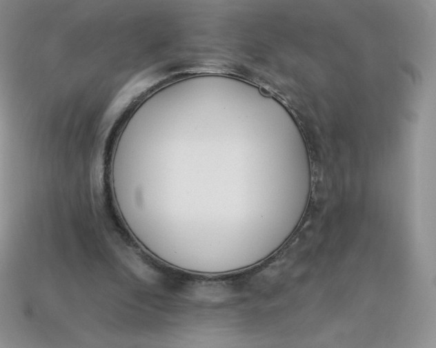 X0000113920296200910151445