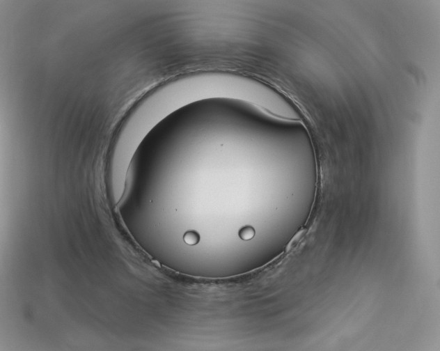 X0000113920297200910151445