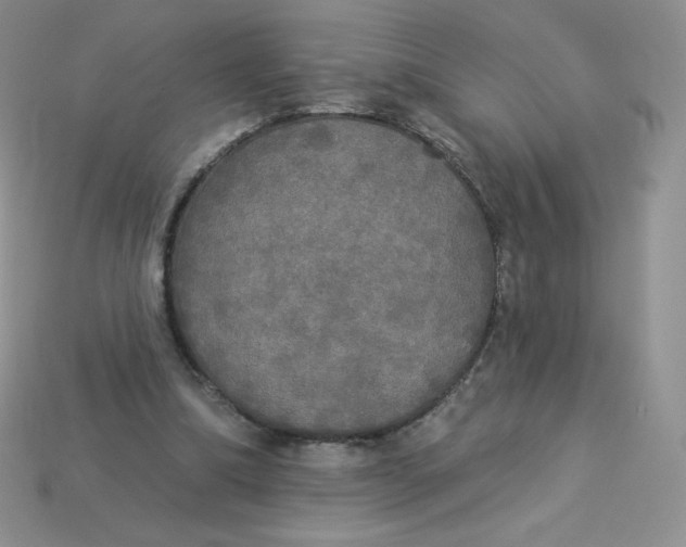 X0000113920298200910151445