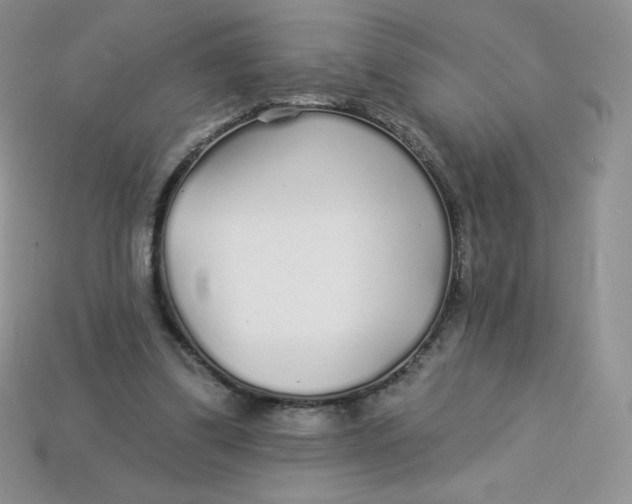 X0000113920299200910151445