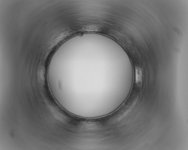 X0000113920300200910151445
