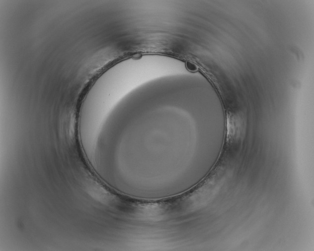 X0000113920301200910151445