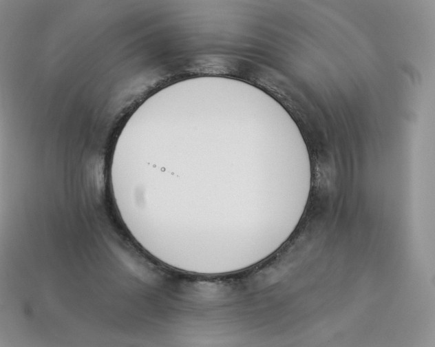 X0000113920302200910151445
