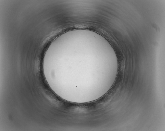X0000113920303200910151445