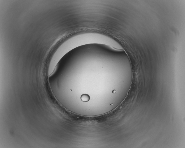 X0000113920304200910151445