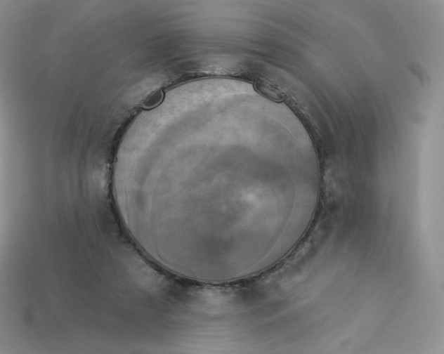 X0000113920305200910151445