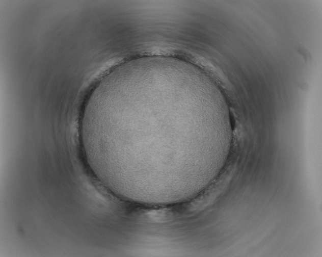X0000113920306200910151445