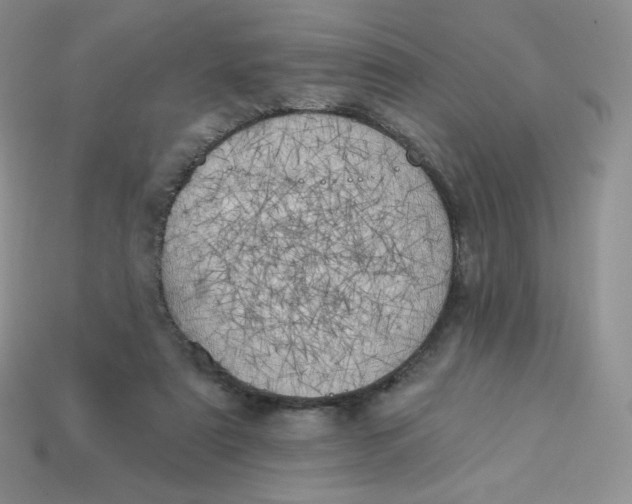 X0000113920307200910151445