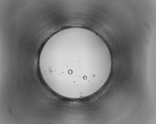 X0000113920309200910151445