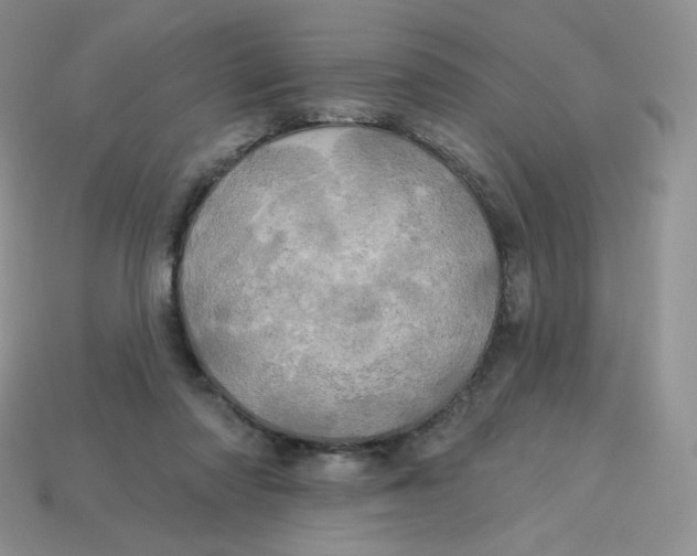 X0000113920310200910151445