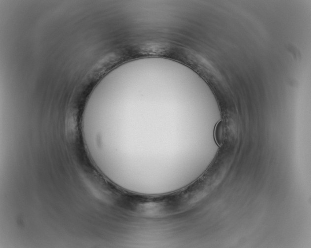 X0000113920312200910151445