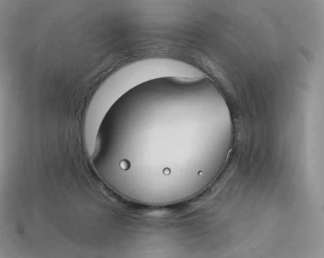 X0000113920313200910151445