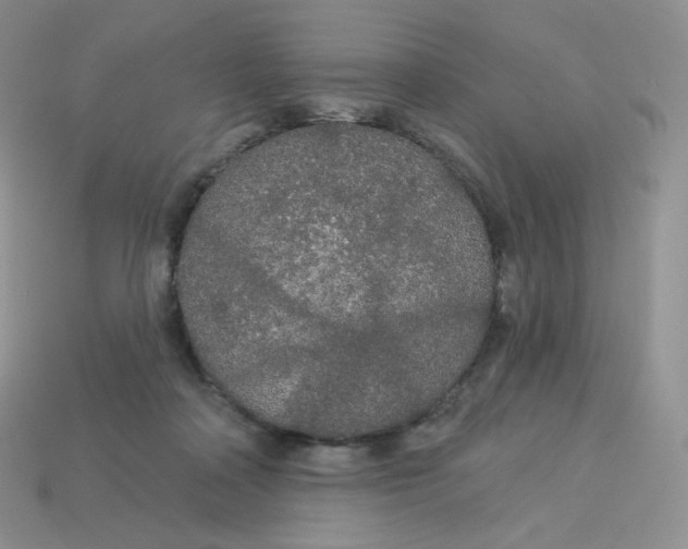 X0000113920314200910151445