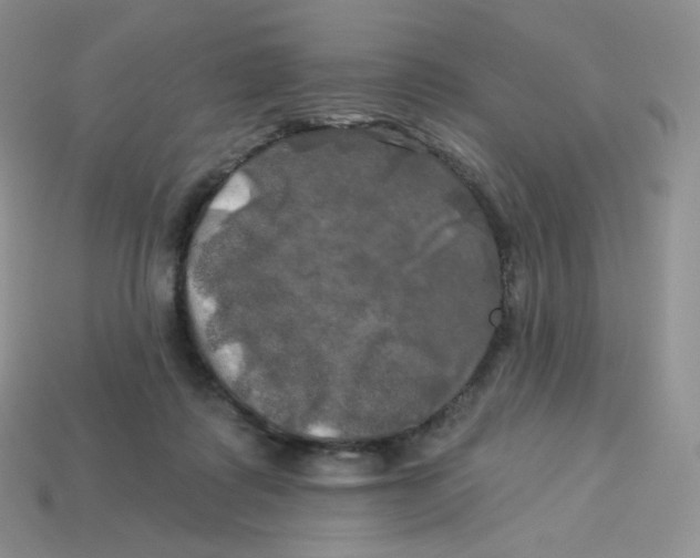 X0000113920315200910151445
