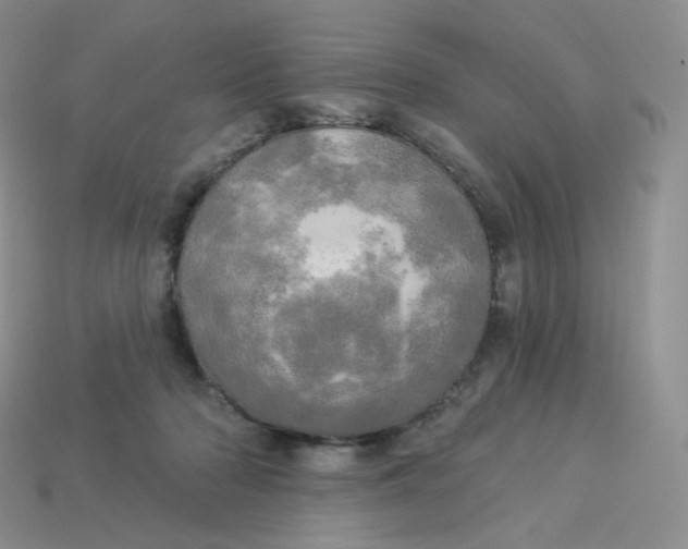 X0000113920318200910151445