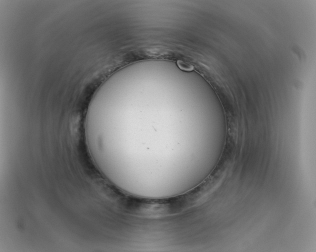 X0000113920319200910151445