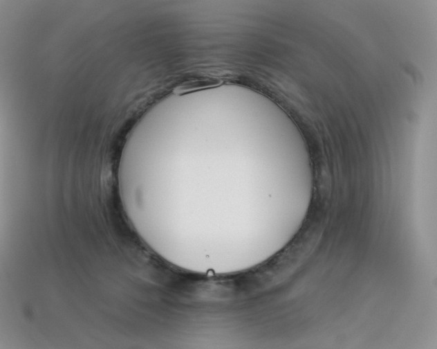 X0000113920320200910151445