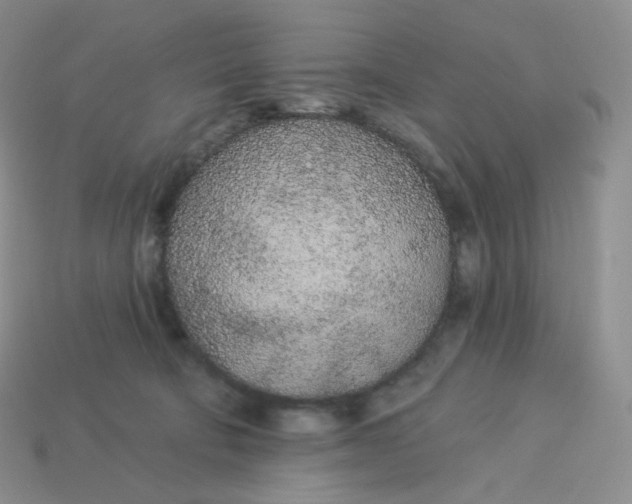 X0000113920322200910151445