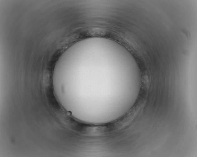 X0000113920323200910151445