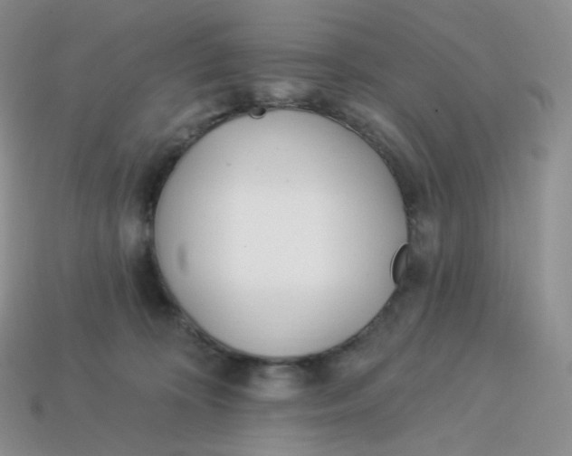 X0000113920324200910151445