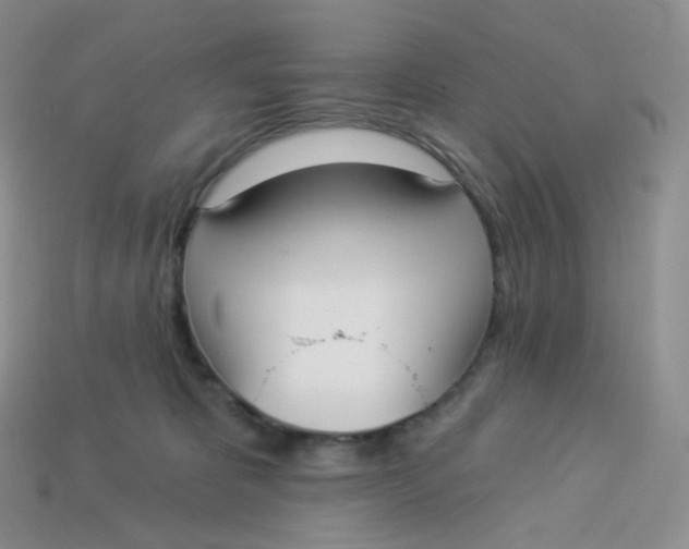 X0000113920325200910151445