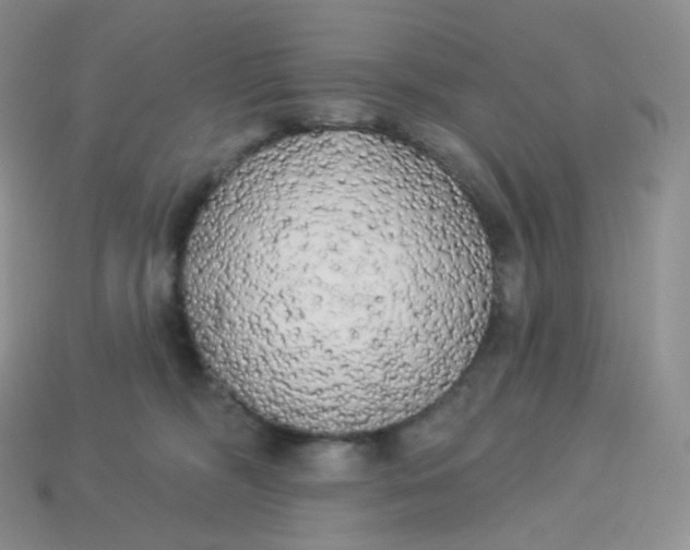 X0000113920326200910151445