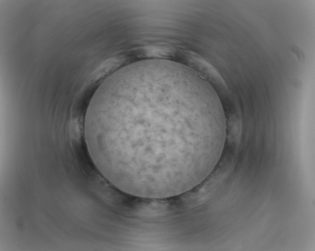 X0000113920329200910151445