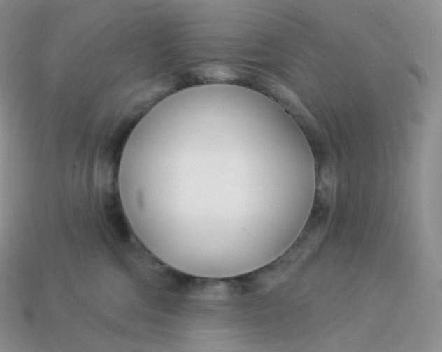 X0000113920330200910151445
