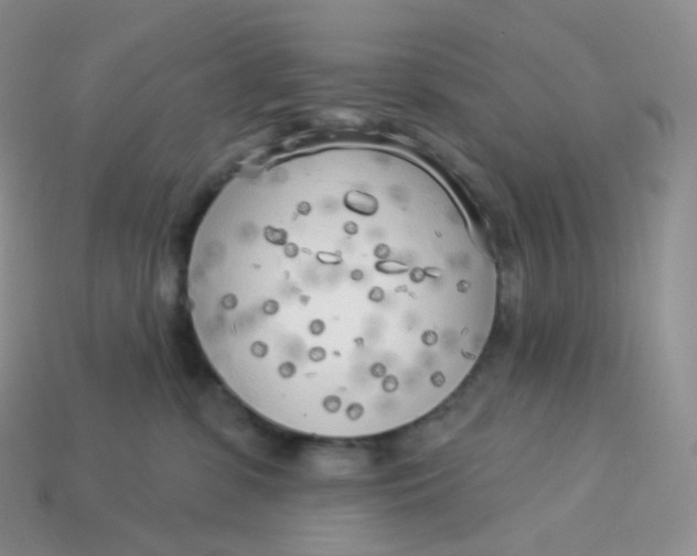 X0000113920331200910151445