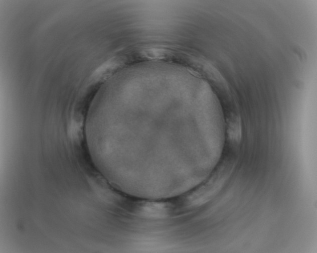 X0000113920332200910151445
