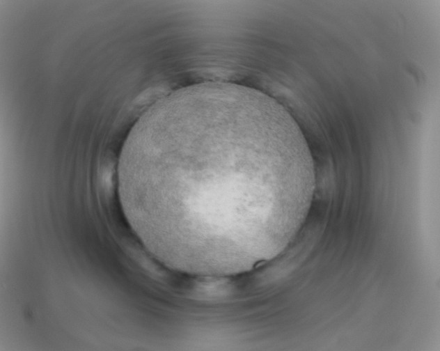 X0000113920334200910151445