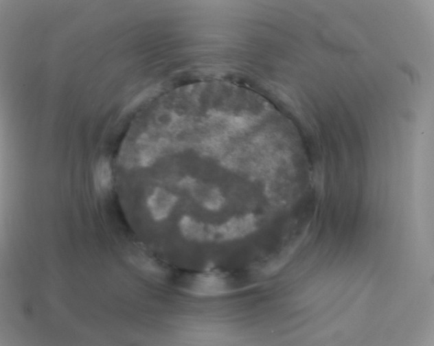 X0000113920335200910151445