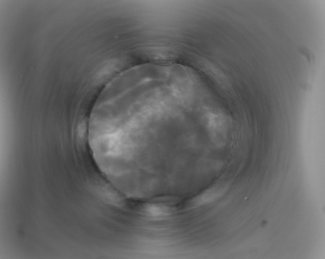 X0000113920336200910151445