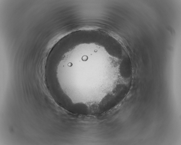 X0000113920337200910151444