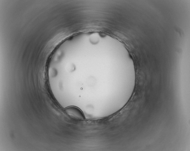 X0000113920338200910151444