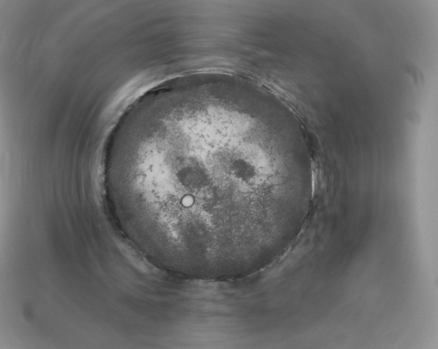 X0000113920339200910151444