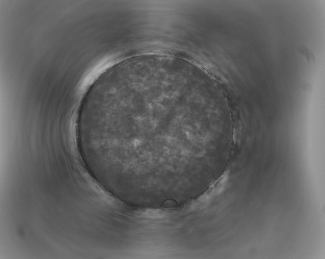 X0000113920341200910151444