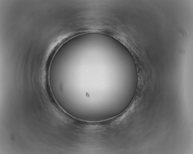 X0000113920342200910151444