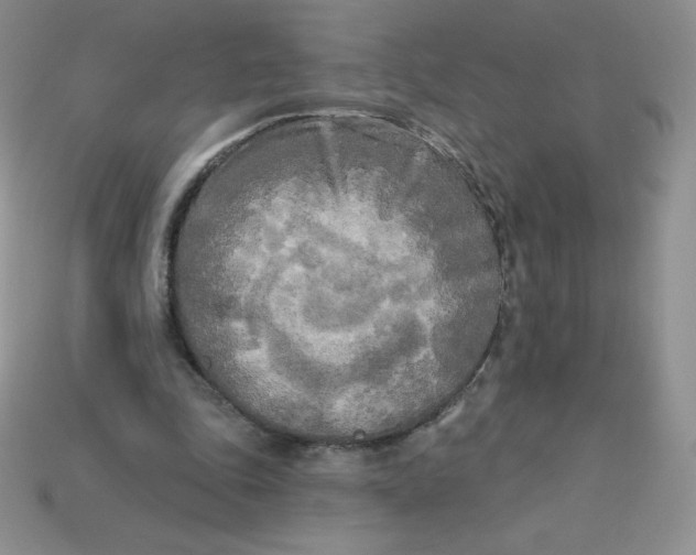 X0000113920343200910151444