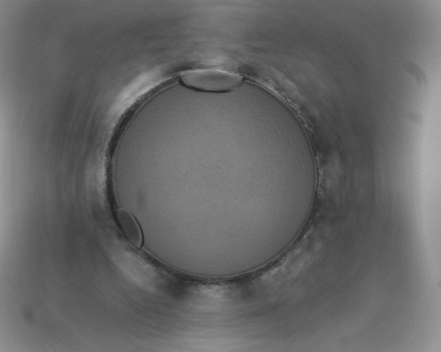 X0000113920344200910151444