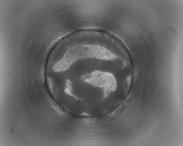 X0000113920345200910151444