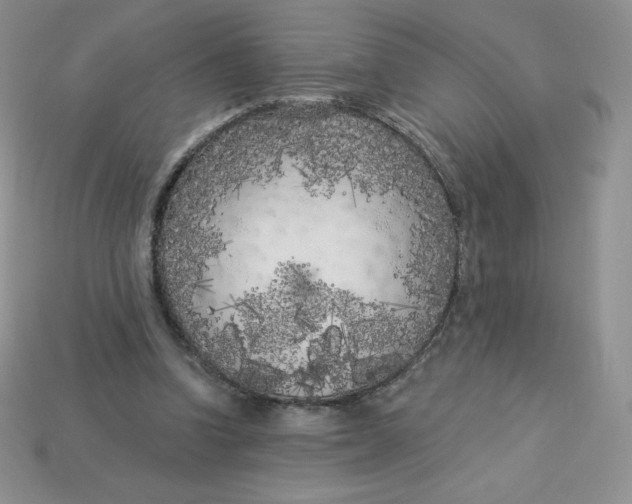 X0000113920346200910151444