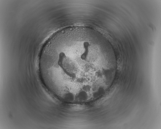 X0000113920347200910151444
