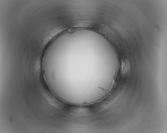 X0000113920348200910151444