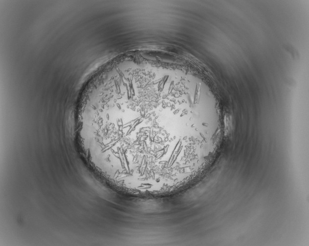 X0000113920349200910151444