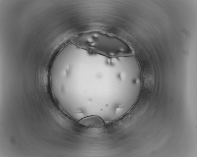 X0000113920350200910151444